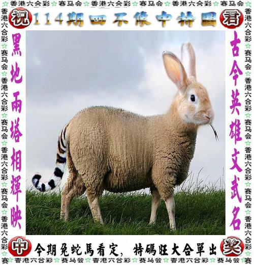 天下踩天空踩328CC入口与